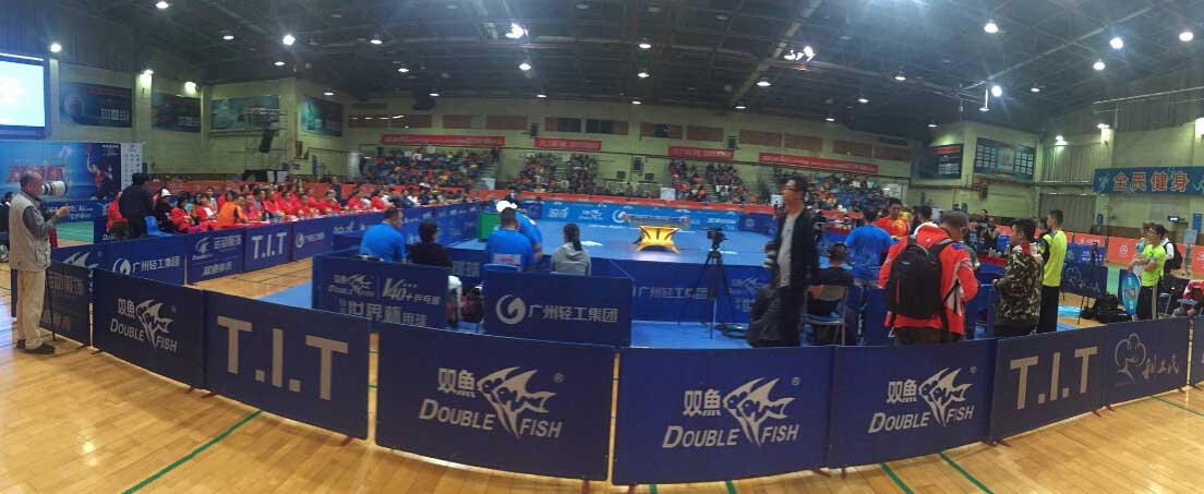2017 Double Fish Cup 2017 Double Fish Cup