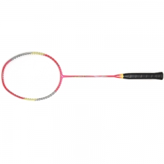 Wisdom and Intelligent Badminton Racket