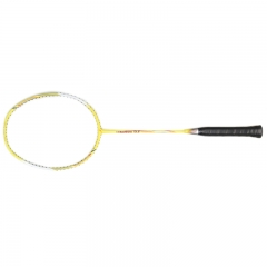 Wisdom and Intelligent Badminton Racket