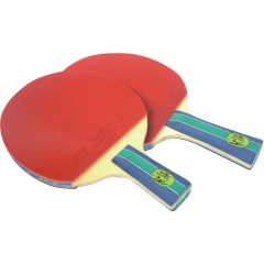 Double Fish Indoor Ping Pong Racquet