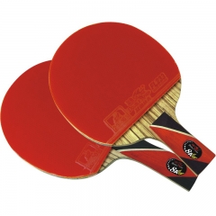 Training & Entertainment Double Fish Table Tennis Ping Pong Racket & Ball for Professional Players 