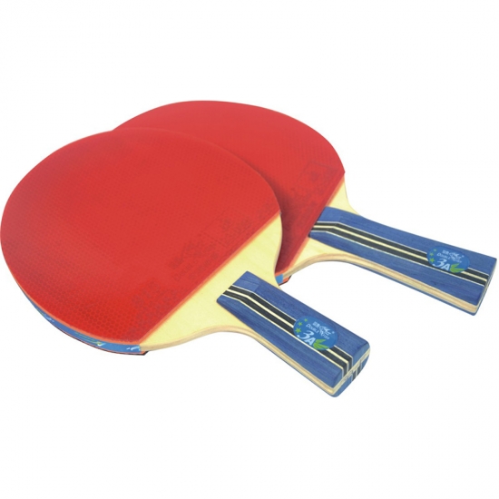 GREAT Deal SAVE Double Fish DHS 3002 4002 table tennis racket ping pong paddle 