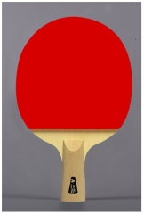DOUBLE FISH carbone haut de gamme ping pong raquette tennis de table Paddle 8 A FL Case 